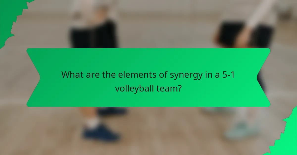 What are the elements of synergy in a 5-1 volleyball team?