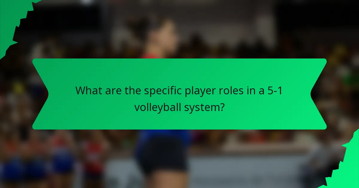 What are the specific player roles in a 5-1 volleyball system?